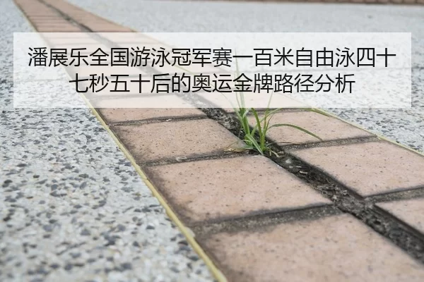 潘展乐全国游泳冠军赛一百米自由泳四十七秒五十后的奥运金牌路径分析